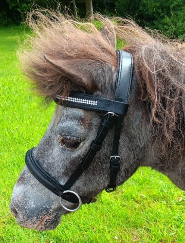 Bitloos hoofdstel mini 0