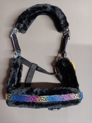 Funny halster shetlander