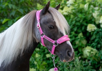 Glitter halster fleece roze mini