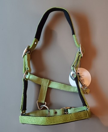 Glitter halster shetlander mint groen