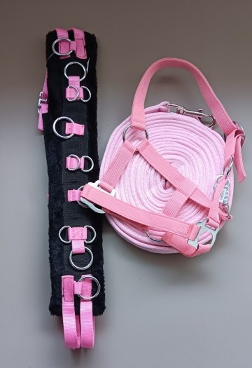 Grote set longeer singel halster en lijn roze shetlander