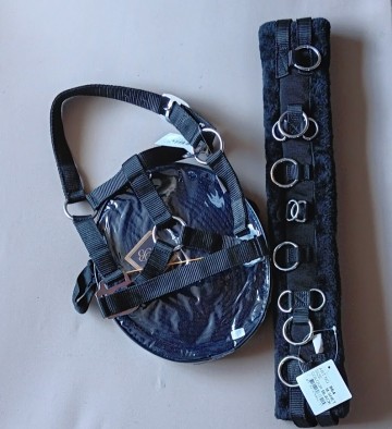 Grote set longeer singel halster en lijn zwart mini shetlander