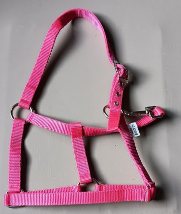 Halster basic fuchia 1 voudig sluiting mini shetlander