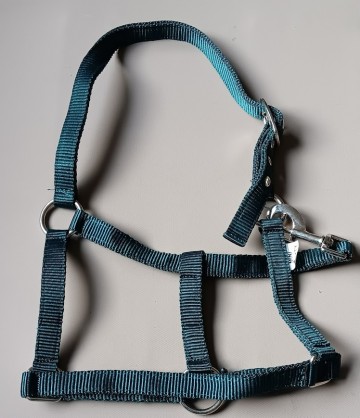 Halster basic groen 1 voudig sluiting mini shetlander