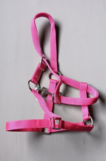 Halster basic mini shetty paarsachtig rood