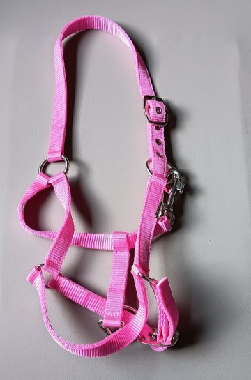 Halster basic roze 2  voudige sluiting mini shetlander