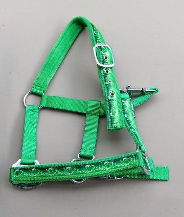 Halster bermuda lime groen shetlander