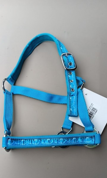 Halster bermuda turquoise shetlander