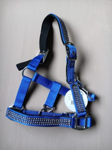 Halster diamant blauw mini 0