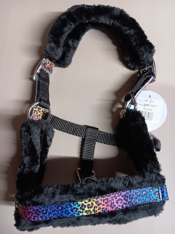 Halster funny mini shetlander