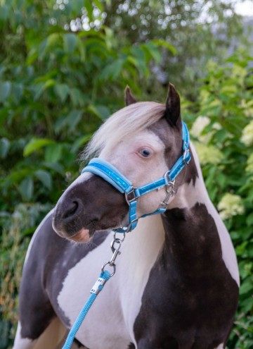 Halster glitter fleece licht blauw hb