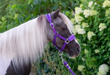 Halster glitter fleece paars hb