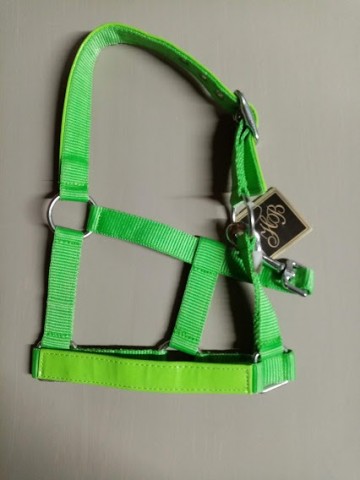 Halster groen lak