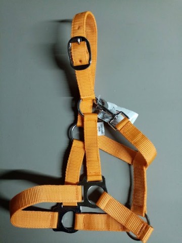Halster nylon oranje