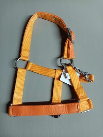 Halster oranje lak