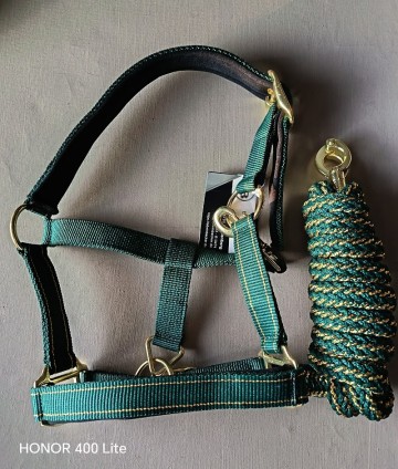 Halster set golden teal mini shetlander