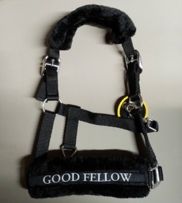 Halster soft met tekst