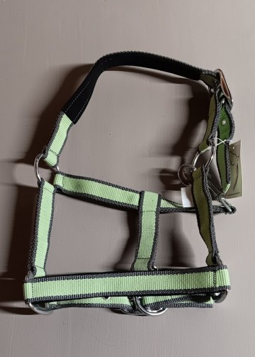 Halster twee kleurig grijs   appelgroen mini shetlander