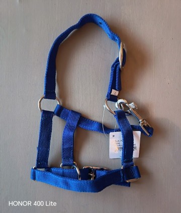 Hb veulen halster shetlander kobaltblauw