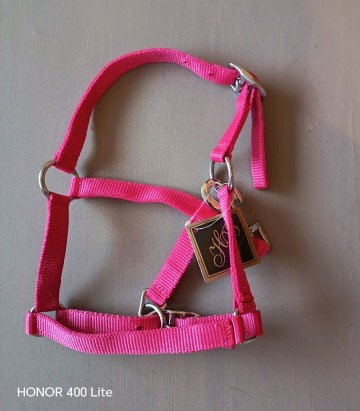 Hb veulenhalster shetlander fuchia