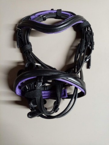 Hoofdstel eenhoorn met paars onderlegd