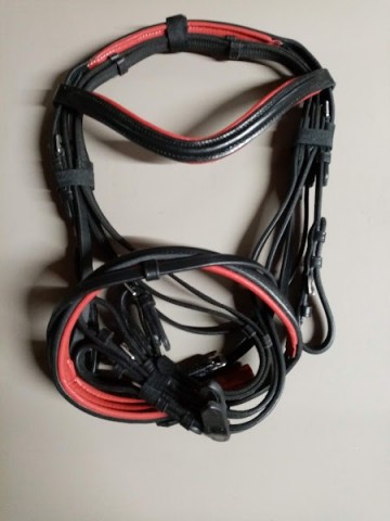 Hoofdstel eenhoorn met rood onderlegd