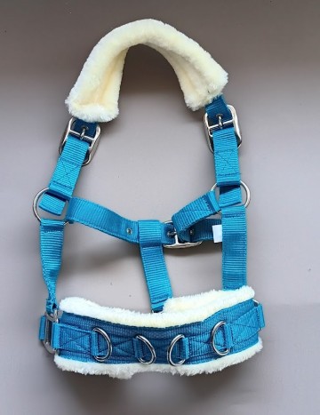 Kaptoom blauw shetlander