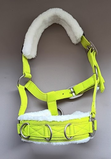 Kaptoom lime groen shetlander