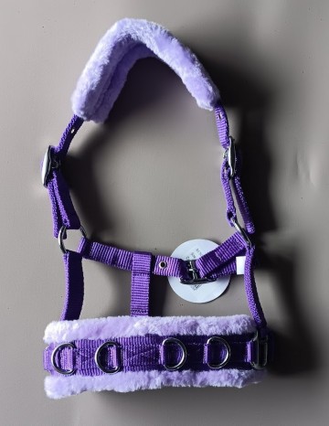 Kaptoom paars mini shetlander