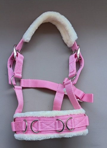 Kaptoom roze shetlander