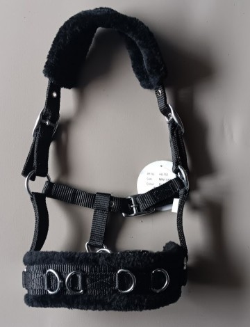 Kaptoom zwart hb mini shetlander