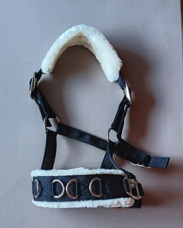 Kaptoom zwart shetlander