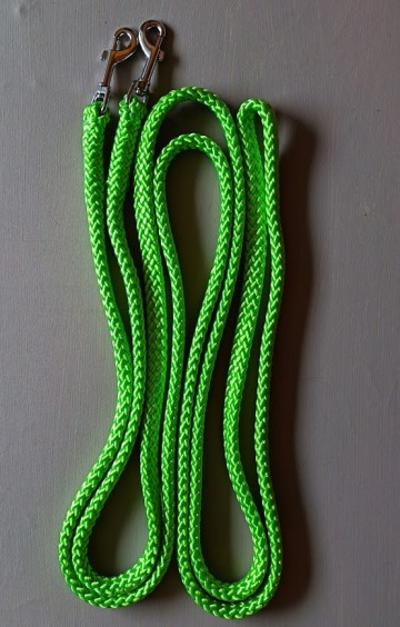 Lange teugel appelgroen mini