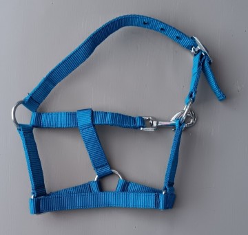 Lilly halster turquoise