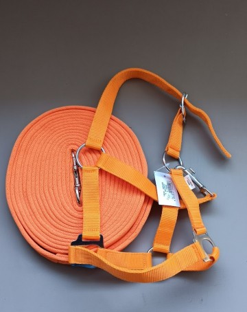 Longeer lijn en halster oranje mini shetty