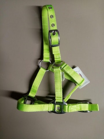 Miniline halster lemon