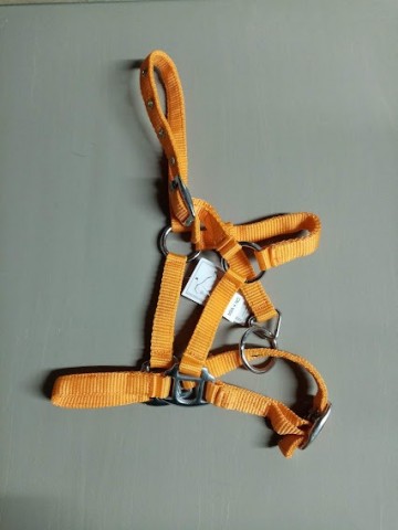 Miniline halster oranje 4