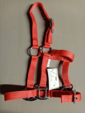 Miniline halster rood 3