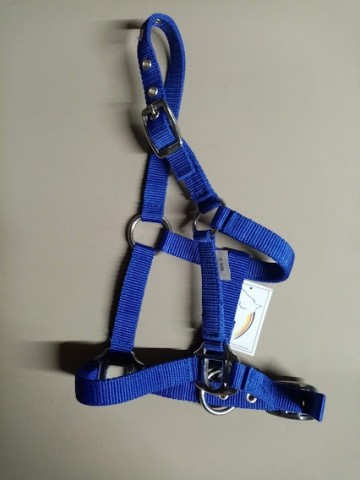 Miniline halster royalblau