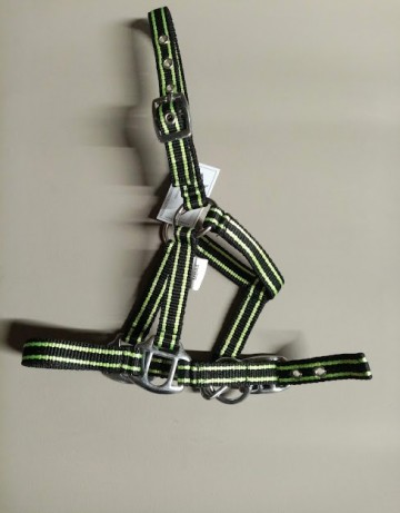 Miniline halster zwartlichtgroen
