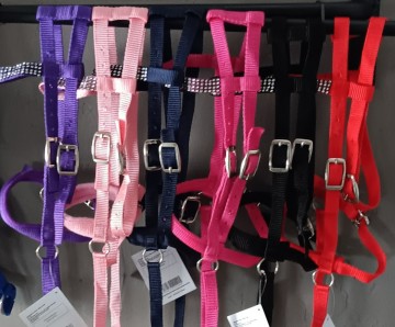 Nylon bitloos hoofdstel mini