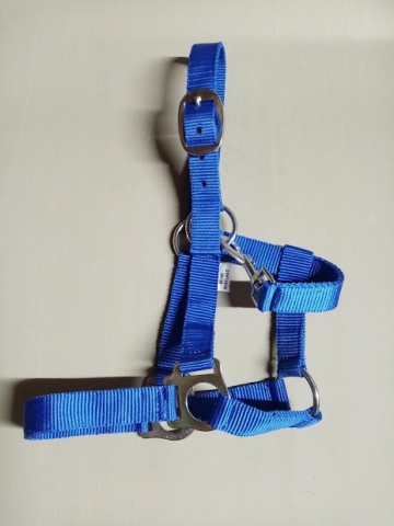 Nylon halster blauw mini shetlander