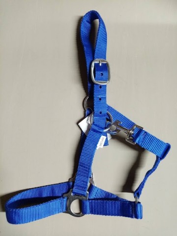 Nylon halster blauw shetlander