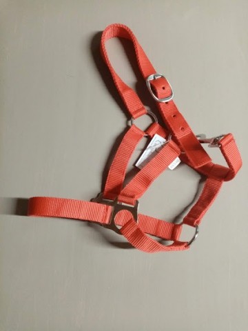 Nylon halster rood shetlander