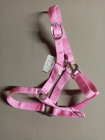 Nylon halster roze shetlander