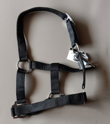 Nylon halster zwart mini shetlander