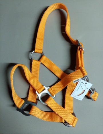 Oranje halster nylon