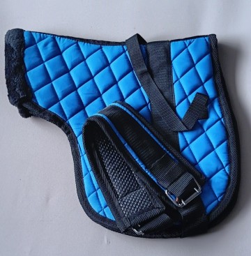 Rijpad blauw shetlander