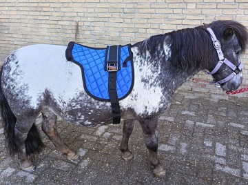 Rijpad blauw