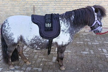 Rijpad zwart 0
